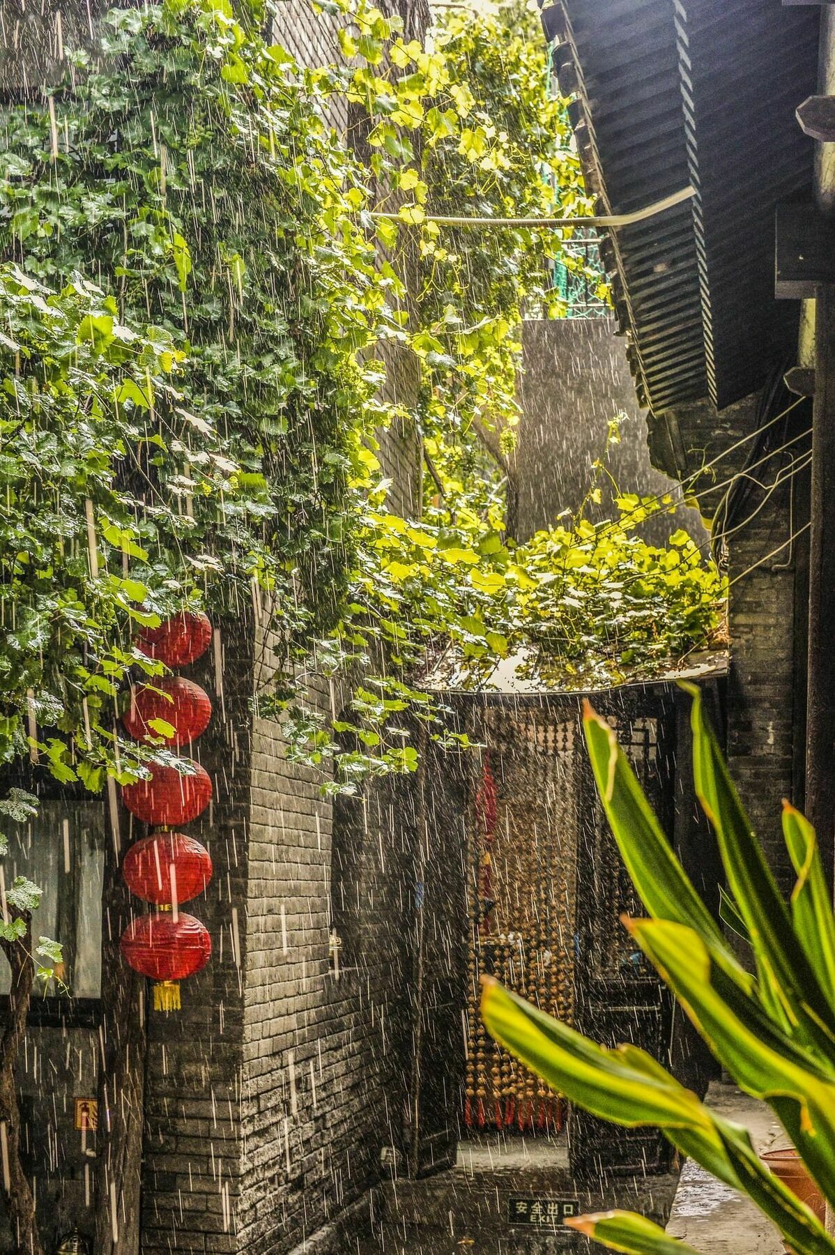 Hill Lily Courtyard Hotel Beijing Luaran gambar